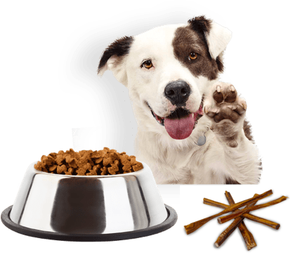 Dog with Food Waving