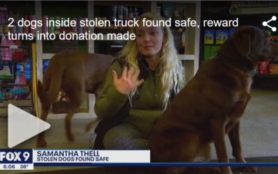 2 DOGS INSIDE STOLEN TRUCK FOUND SAFE, REWARD TURNS INTO DONATION MADE