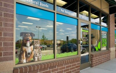 The 3 Top Pet Franchises and Why Pet Evolution is the Top Dog