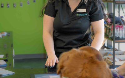The Pet Industry Boom: Why Now is the Best Time to Own a Pet Store Franchise