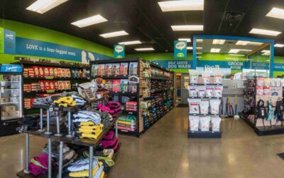 Wondering What Business to Start? How About a Pet Supply Store Franchise?